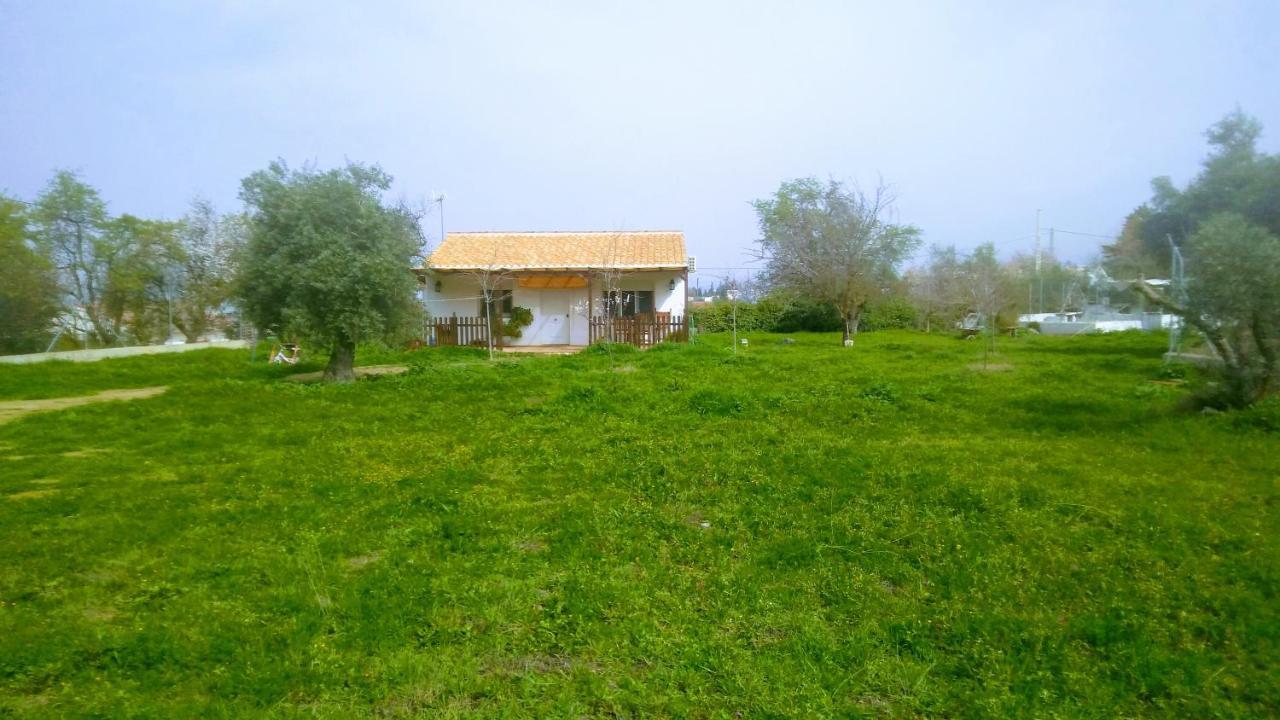 Casa De Campo Los Manueles Ideal Perros Pet Friendly Gojar Exteriér fotografie