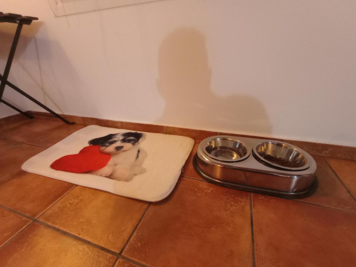 Casa De Campo Los Manueles Ideal Perros Pet Friendly Gojar Exteriér fotografie