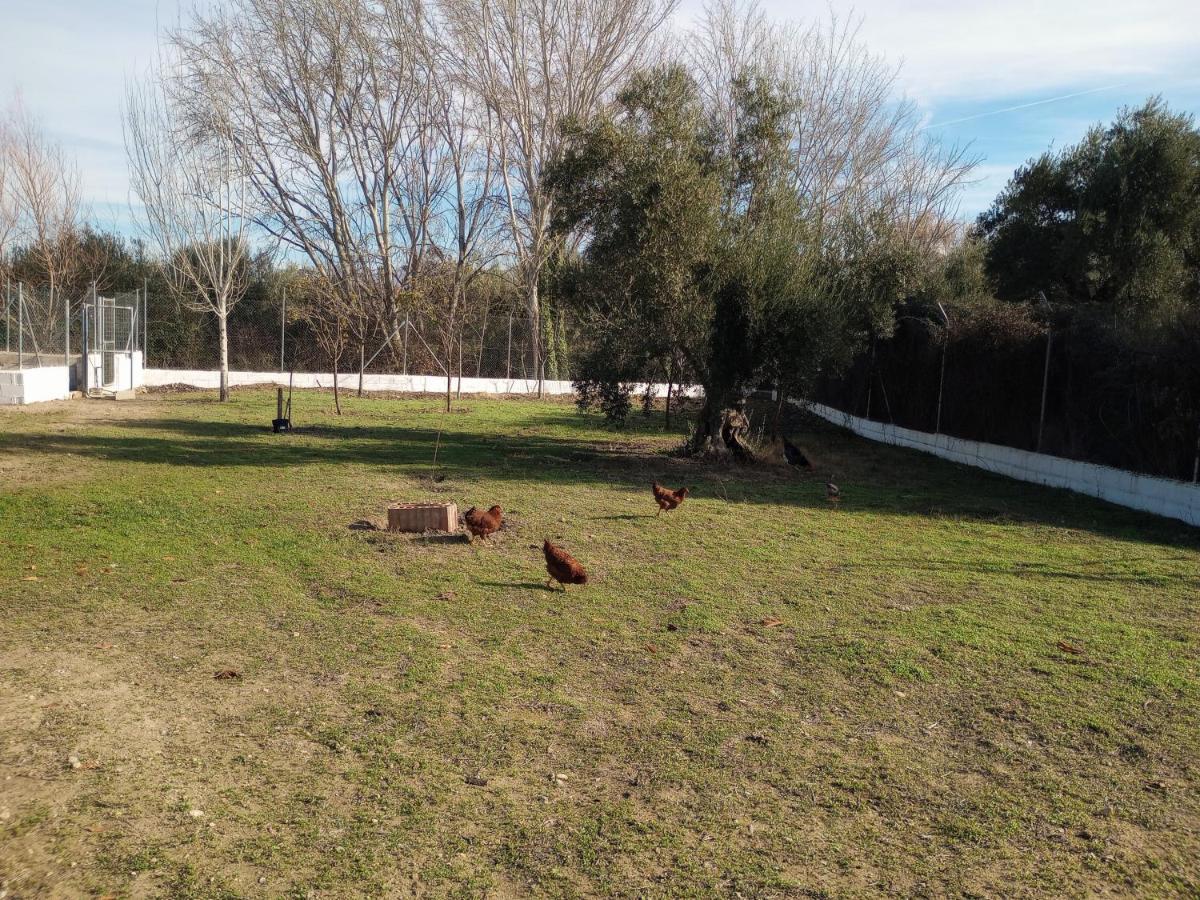 Casa De Campo Los Manueles Ideal Perros Pet Friendly Gojar Exteriér fotografie