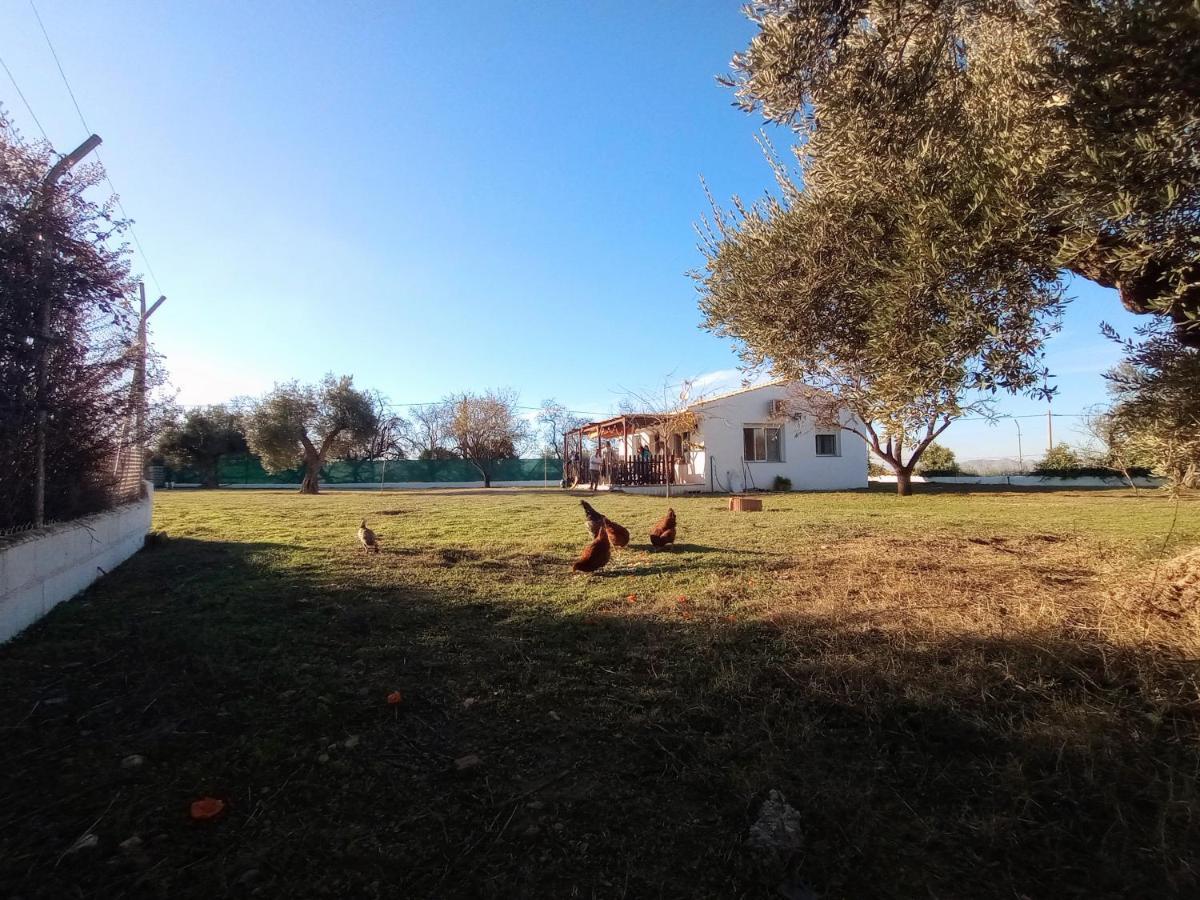 Casa De Campo Los Manueles Ideal Perros Pet Friendly Gojar Exteriér fotografie