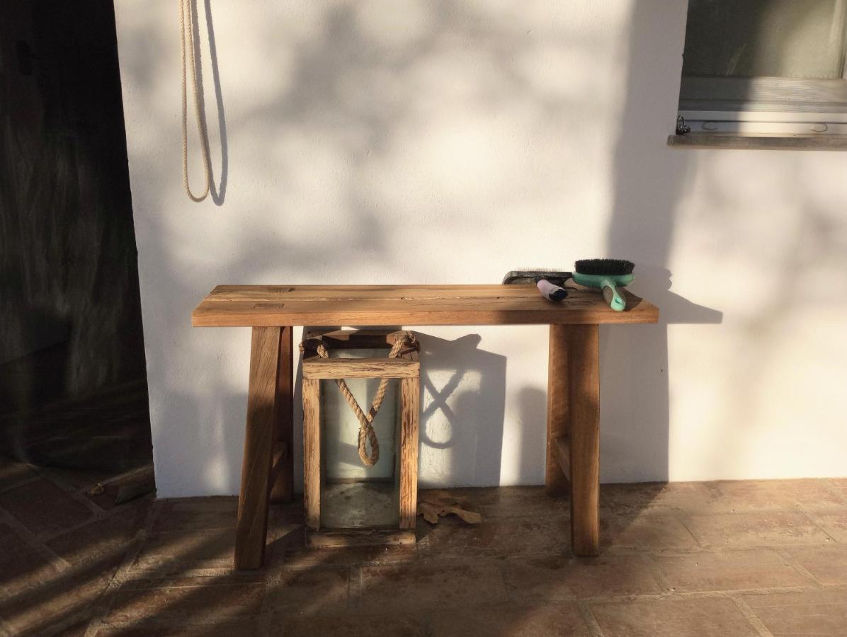 Casa De Campo Los Manueles Ideal Perros Pet Friendly Gojar Exteriér fotografie