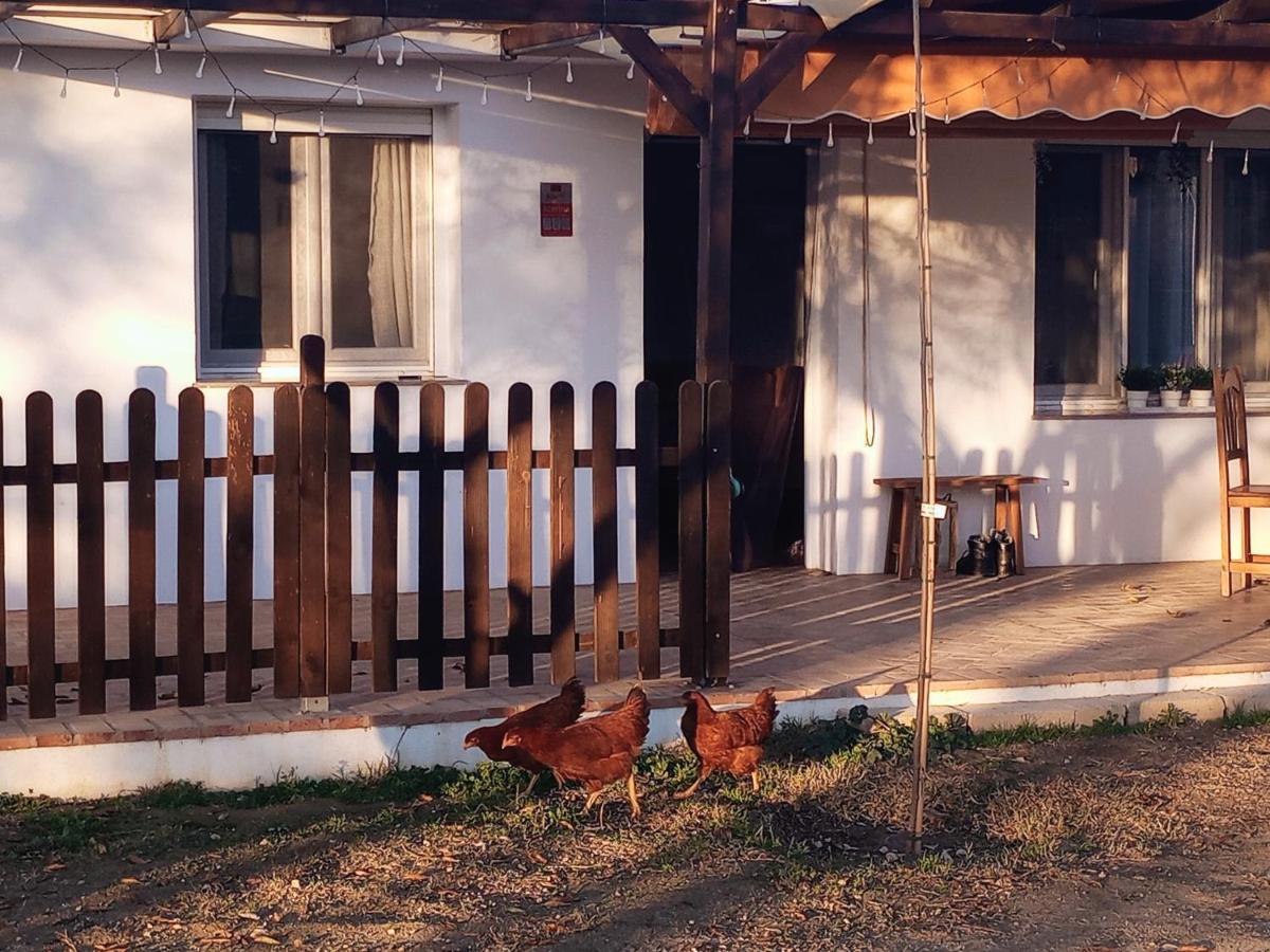 Casa De Campo Los Manueles Ideal Perros Pet Friendly Gojar Exteriér fotografie