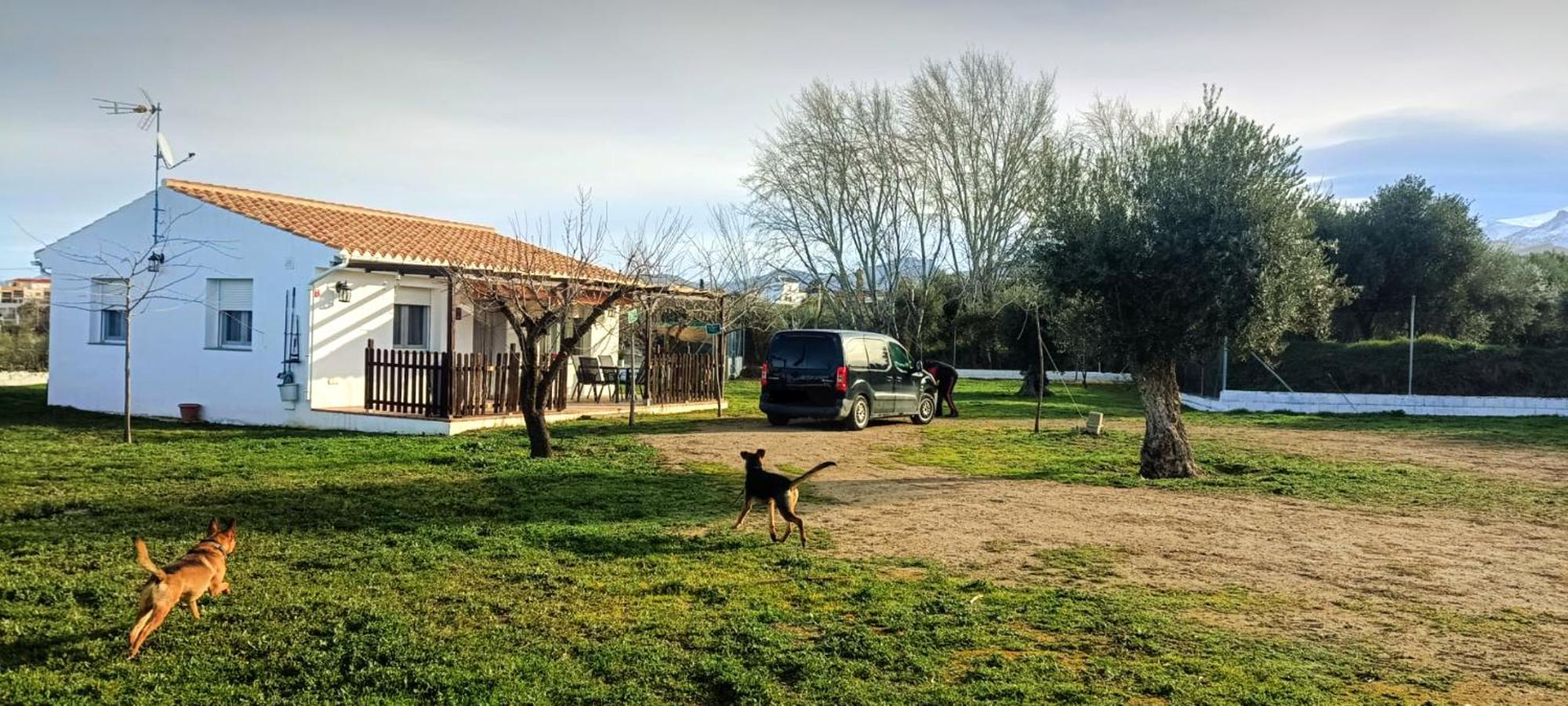 Casa De Campo Los Manueles Ideal Perros Pet Friendly Gojar Exteriér fotografie