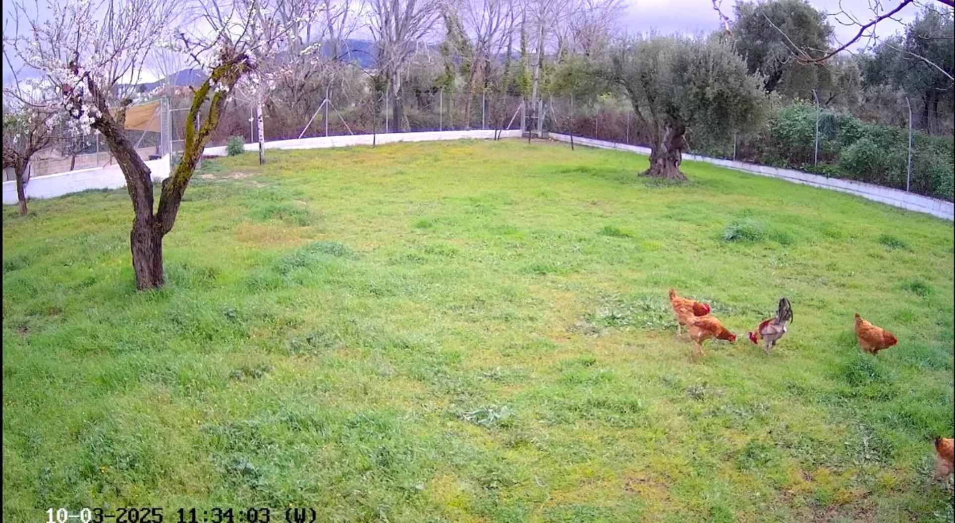 Casa De Campo Los Manueles Ideal Perros Pet Friendly Gojar Exteriér fotografie